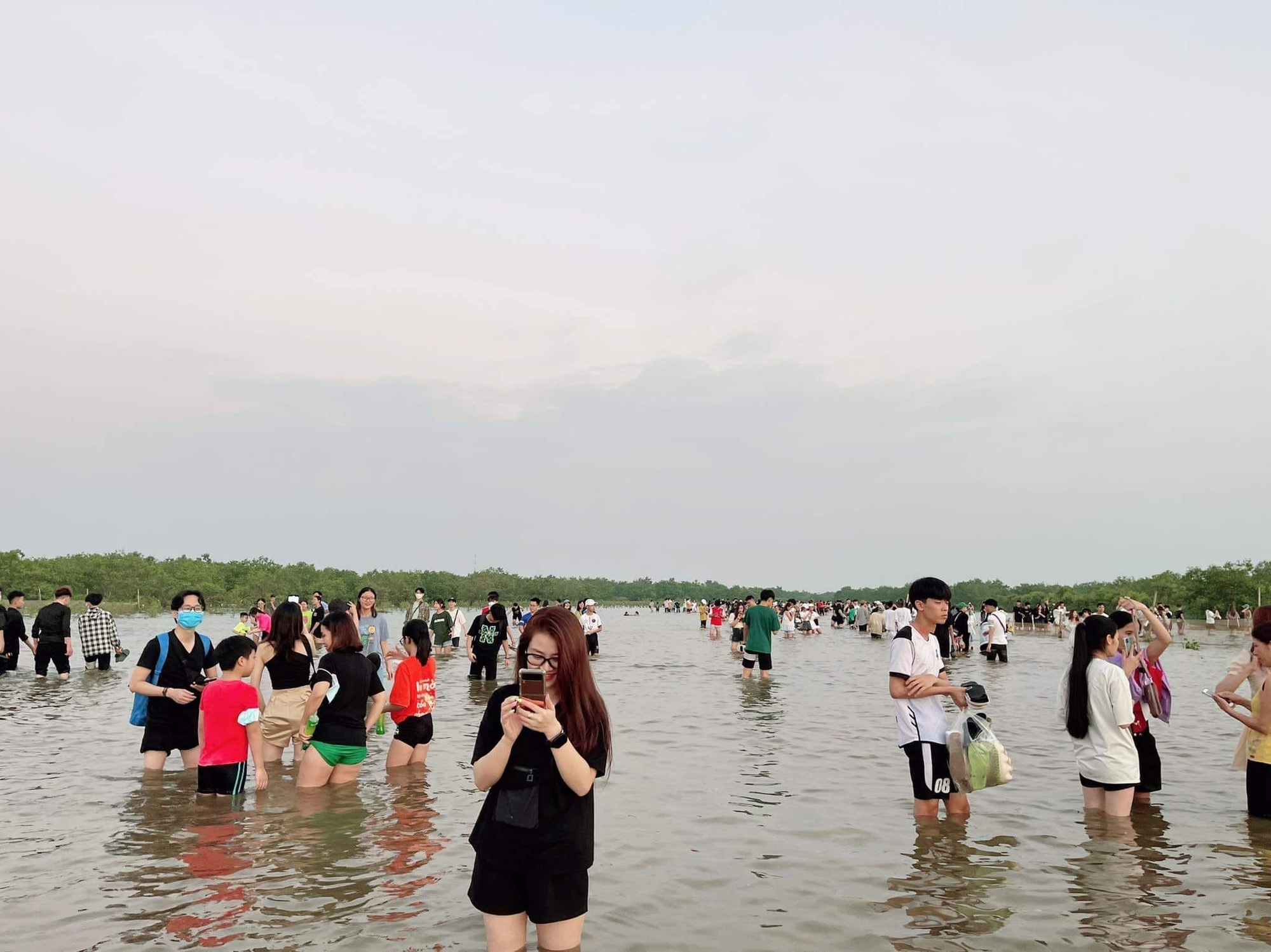 Thái Bình: Hãy tưởng tượng bạn đang ngồi bên cửa sổ, nhìn ra khung cảnh êm đềm, tràn ngập sự bình yên của một vùng đất quê lúa, với những ngôi nhà cổ kính đan xen trong cánh đồng xanh. Hãy khám phá những khoảnh khắc tuyệt vời này tại Thái Bình.